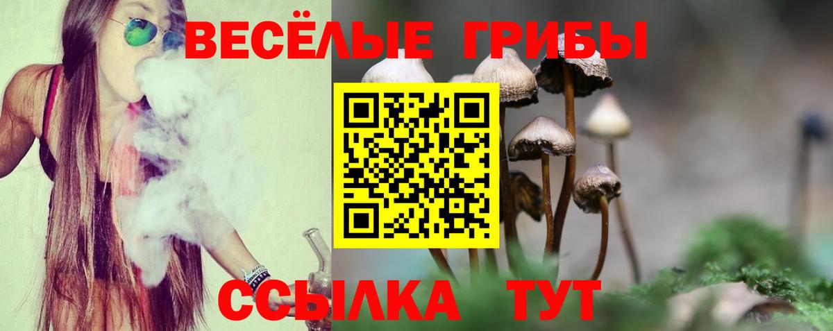 Псилоцибиновые грибы Psilocybine cubensis Воскресенск